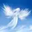 HeavenlyAngel